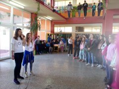IMG_20190214_104317.jpg